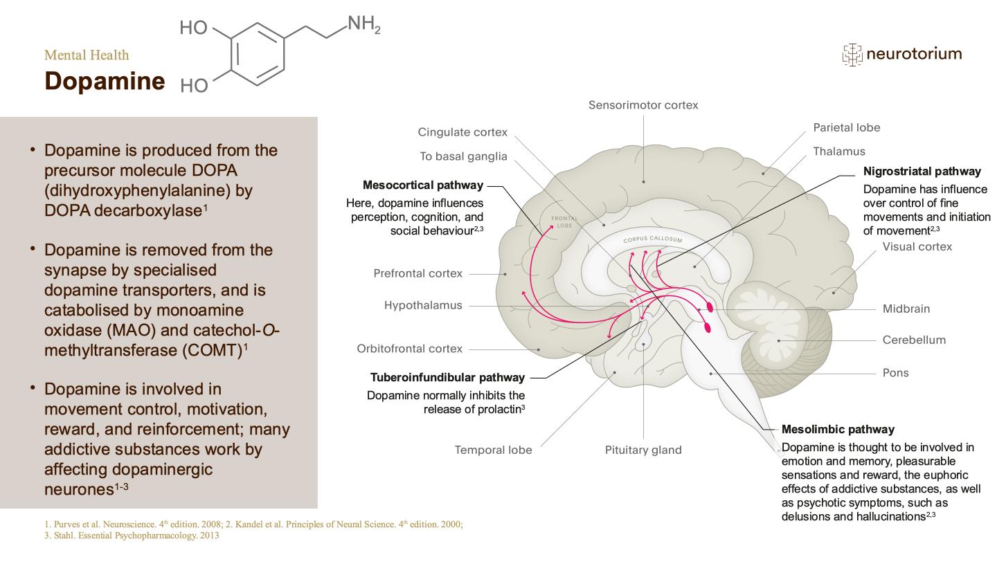 Mental Health – Fundamentals of Neurobiology – slide 16